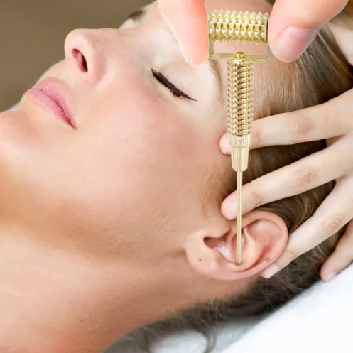 Pen Massager Roller Acupuncture Stick - Image 5
